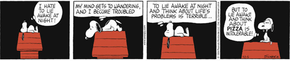 Image of a Peanuts comic strip of Snoopy having insomnia.